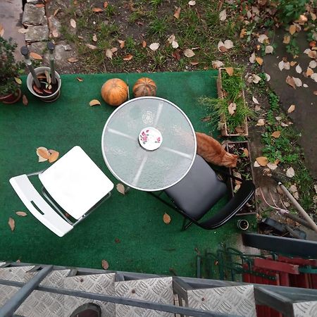 Apartament Cu Un Dormitor Spatios In Centrul Клуж-Напока Экстерьер фото