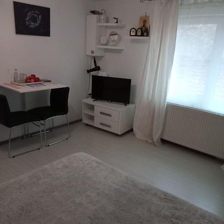 Apartament Cu Un Dormitor Spatios In Centrul Клуж-Напока Экстерьер фото