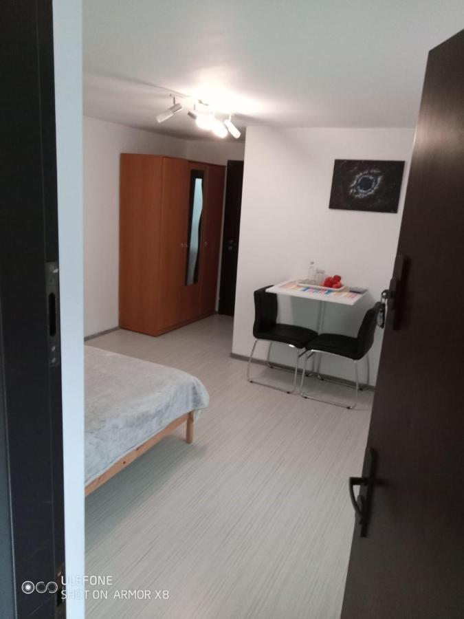 Apartament Cu Un Dormitor Spatios In Centrul Клуж-Напока Экстерьер фото