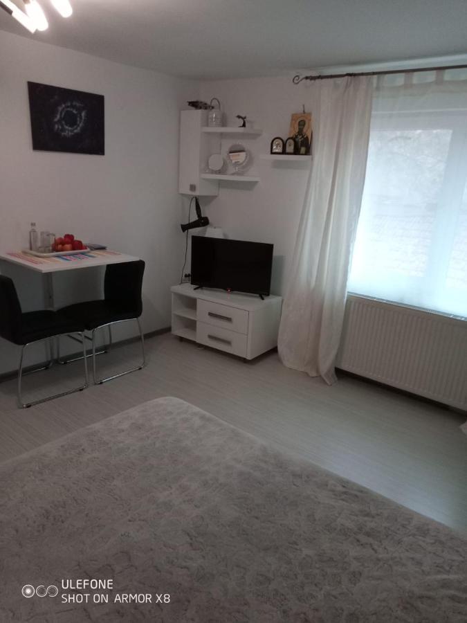 Apartament Cu Un Dormitor Spatios In Centrul Клуж-Напока Экстерьер фото