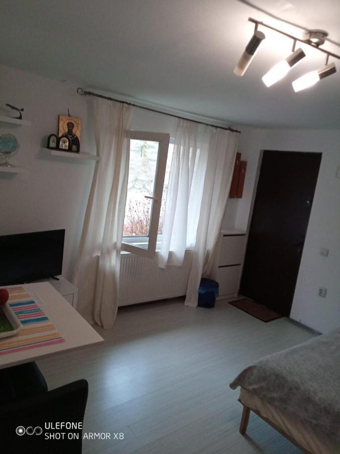 Apartament Cu Un Dormitor Spatios In Centrul Клуж-Напока Экстерьер фото